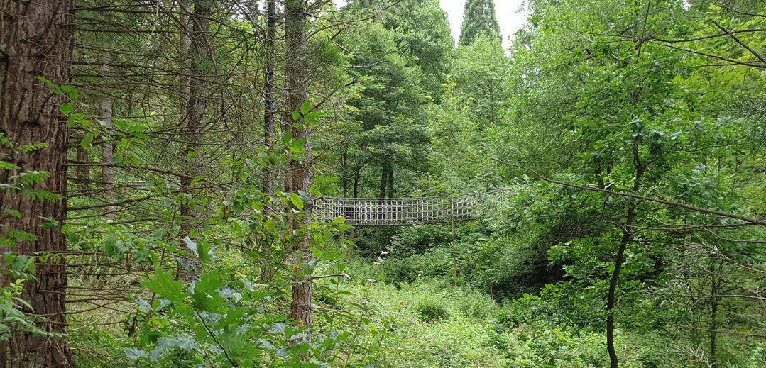 Weltwald Bad Grund, Germany